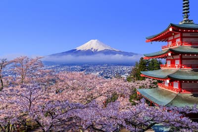 Vermilion torii gates climbing a Kyoto hillside