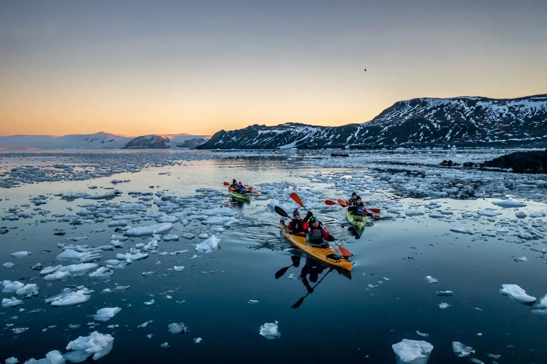 Kayakers threading the brash ice at midnight-sun dusk
